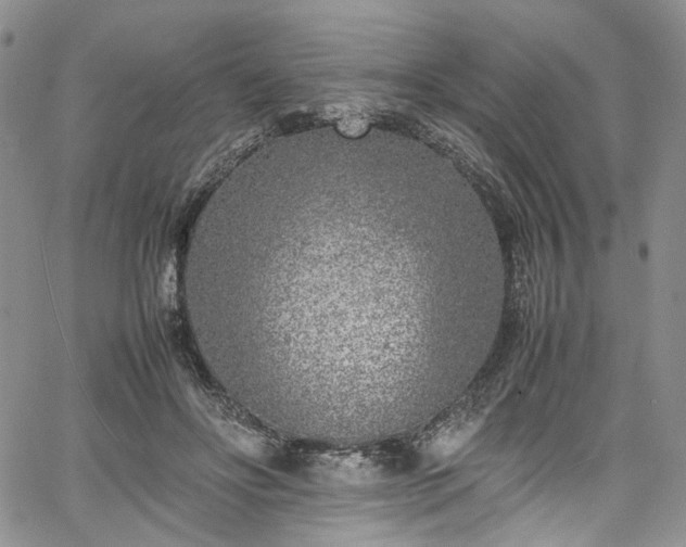 X0000067950502200604201435