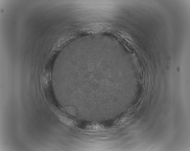 X0000067950503200604201435