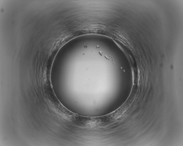 X0000067950504200604201435