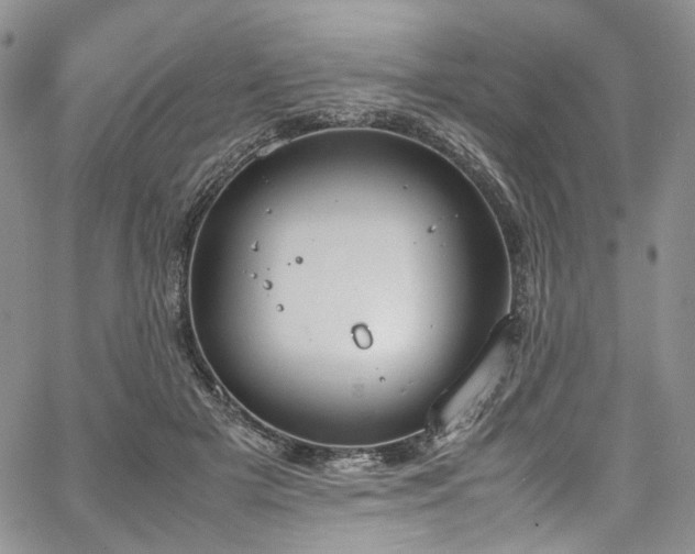 X0000067950505200604201435