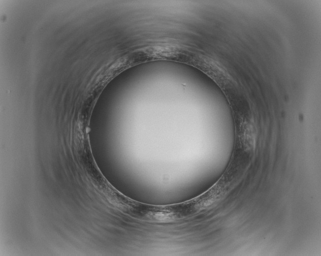 X0000067950506200604201435