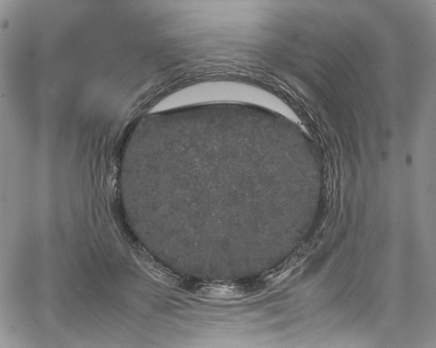 X0000067950507200604201435