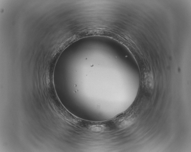 X0000067950508200604201434