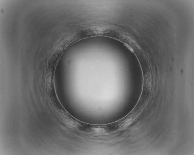 X0000067950509200604201434