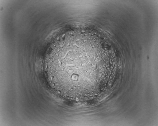 X0000067950511200604201434