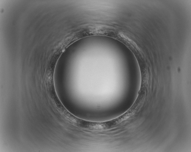 X0000067950513200604201434