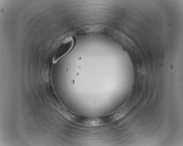 X0000067950514200604201434