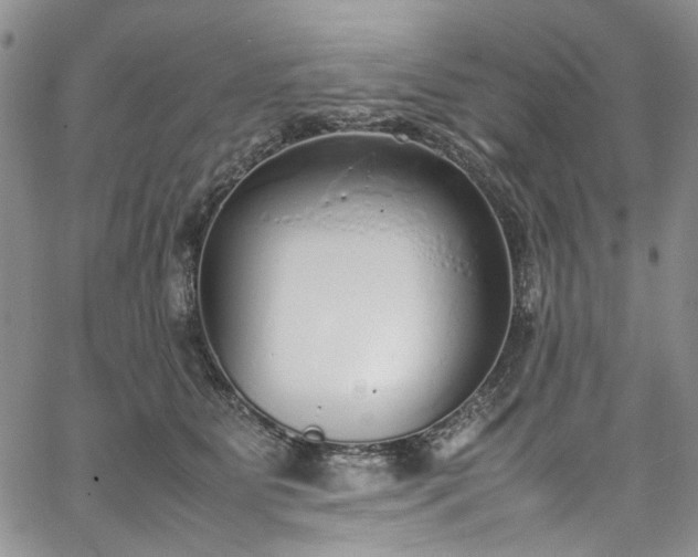 X0000067950515200604201434