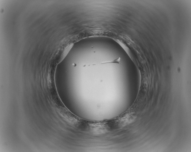 X0000067950516200604201434