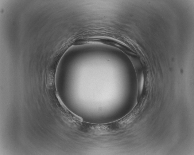 X0000067950517200604201434