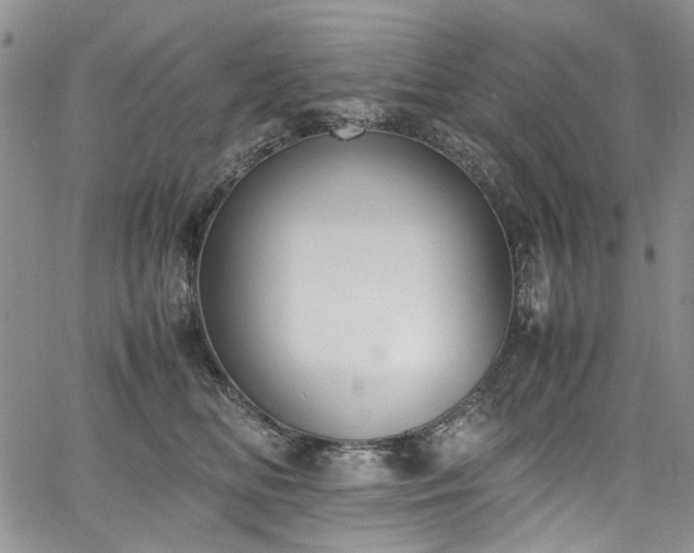 X0000067950518200604201434