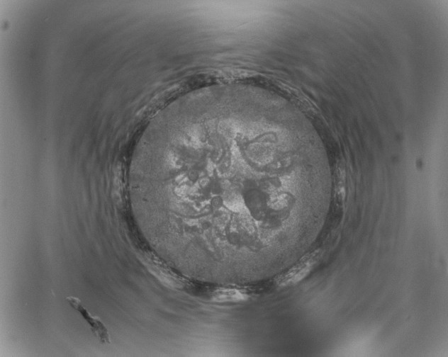 X0000067950519200604201434