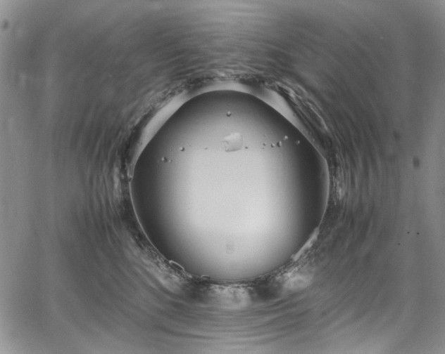 X0000067950520200604201434