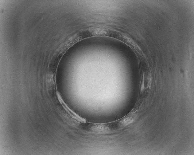 X0000067950521200604201434