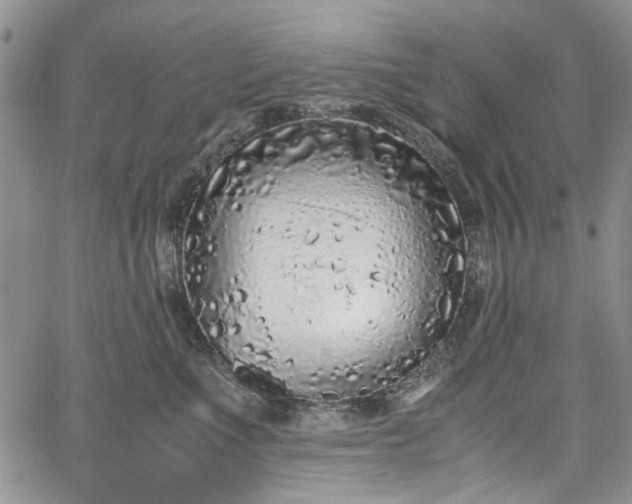 X0000067950523200604201434