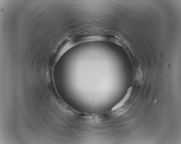 X0000067950524200604201434