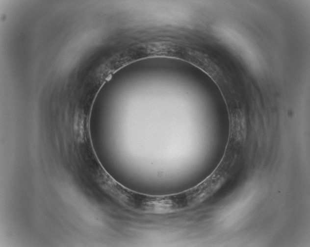 X0000067950525200604201434