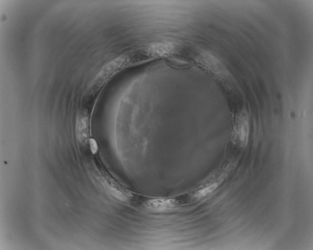 X0000067950526200604201434