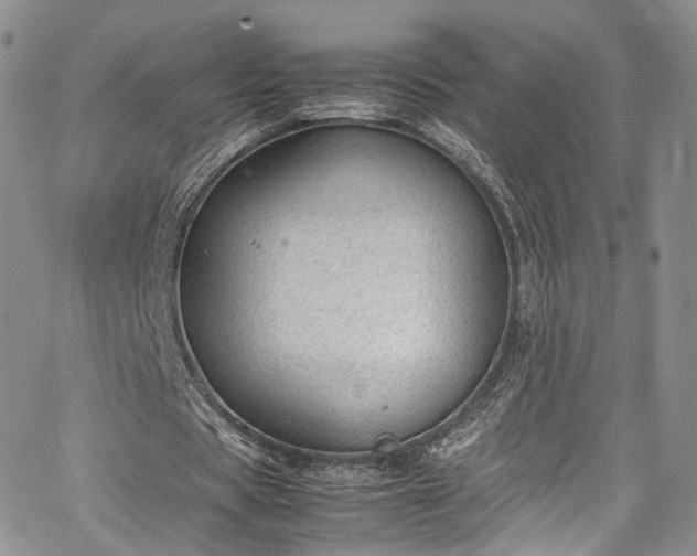 X0000067950529200604201433