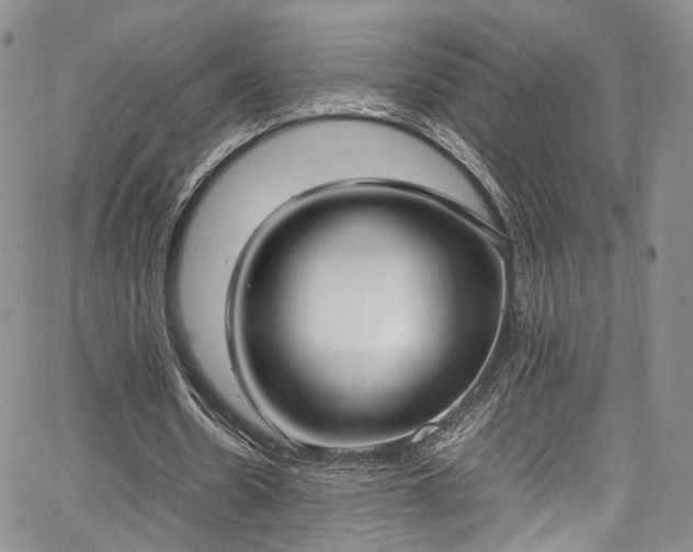 X0000067950530200604201433