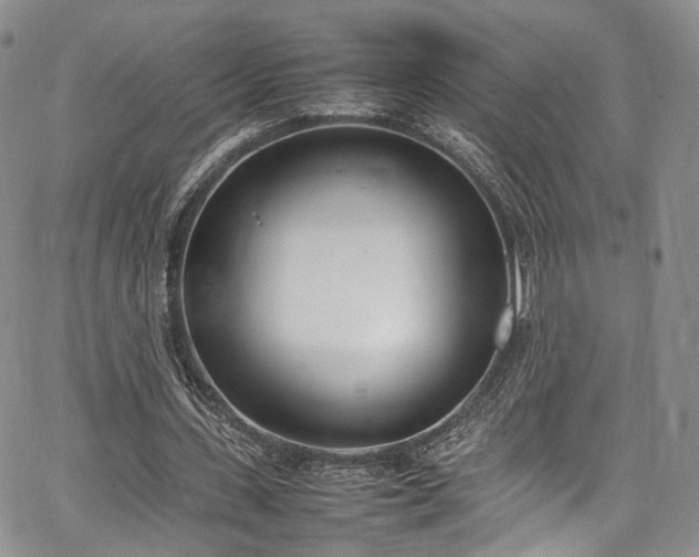 X0000067950531200604201433