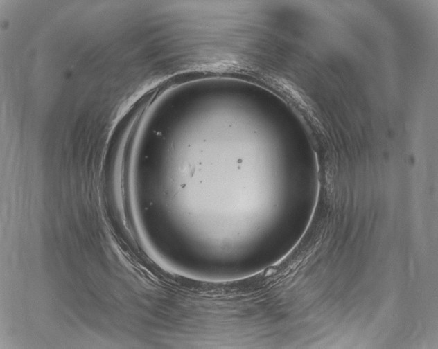 X0000067950532200604201433