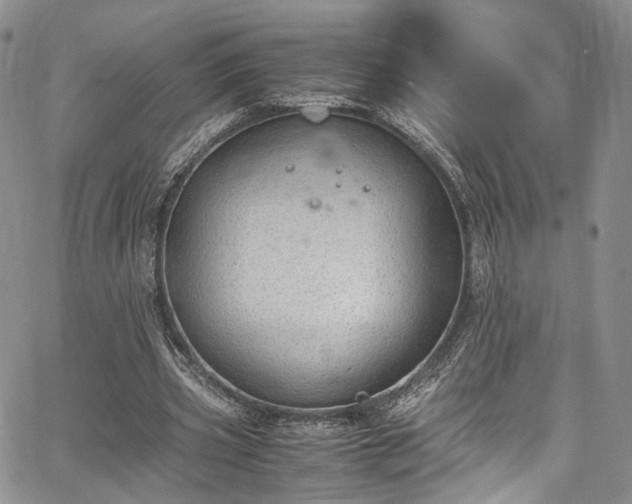 X0000067950533200604201433