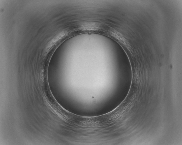 X0000067950535200604201433