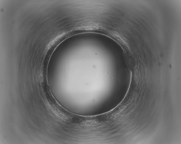 X0000067950536200604201433