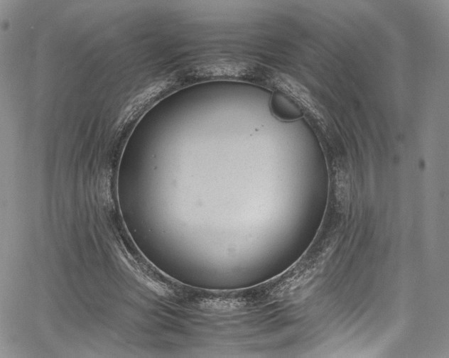 X0000067950537200604201434