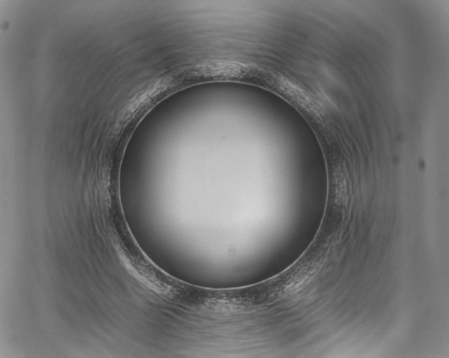 X0000067950538200604201434