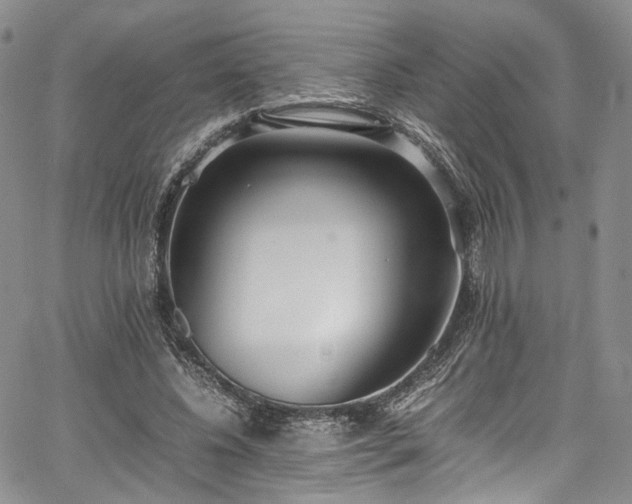 X0000067950540200604201434