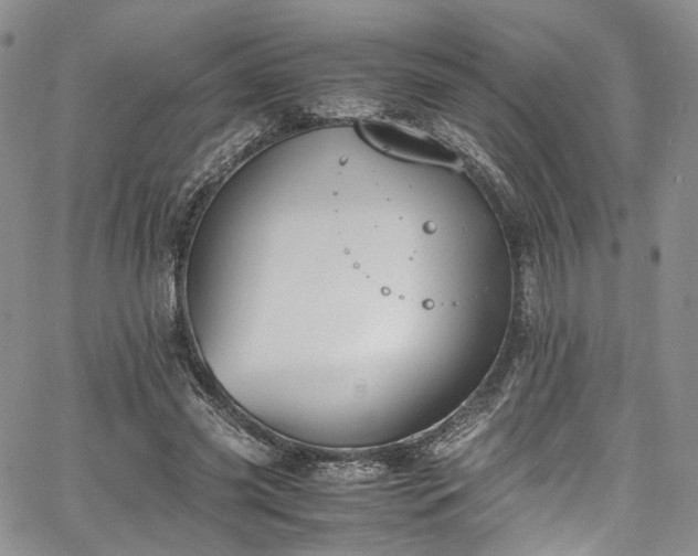 X0000067950541200604201434