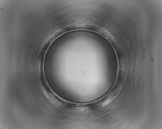 X0000067950542200604201434