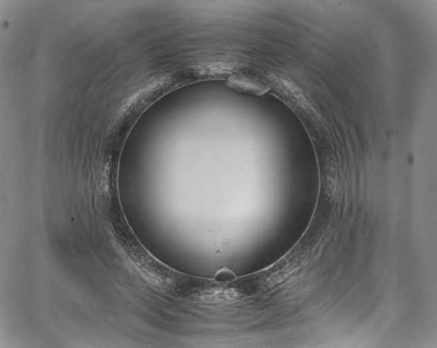 X0000067950543200604201434