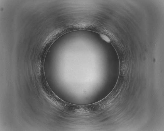 X0000067950544200604201434