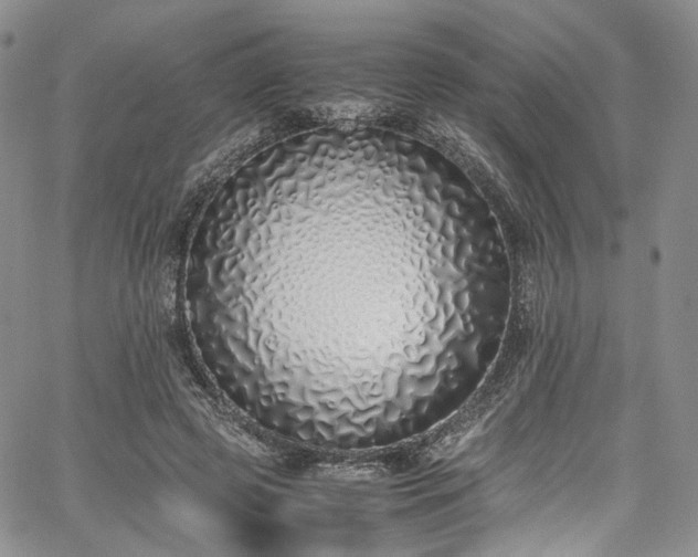 X0000067950545200604201434