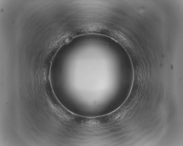 X0000067950546200604201434