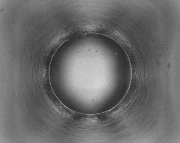 X0000067950548200604201434