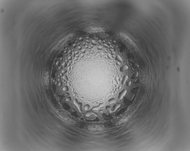 X0000067950549200604201434