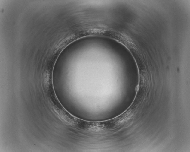 X0000067950550200604201434