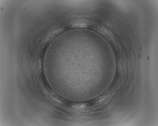 X0000067950551200604201434