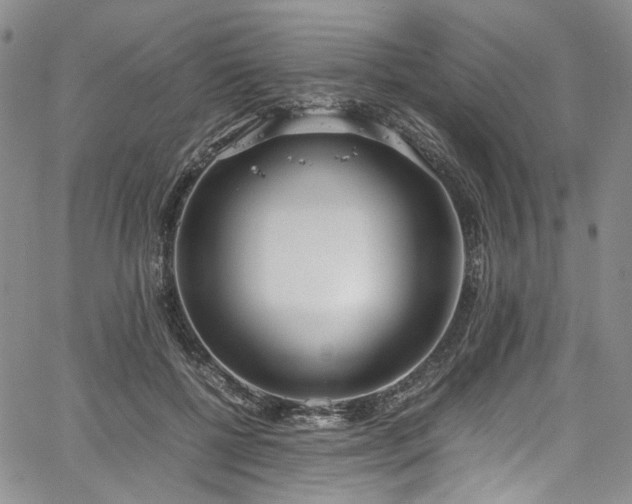 X0000067950552200604201434