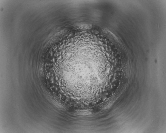 X0000067950553200604201434