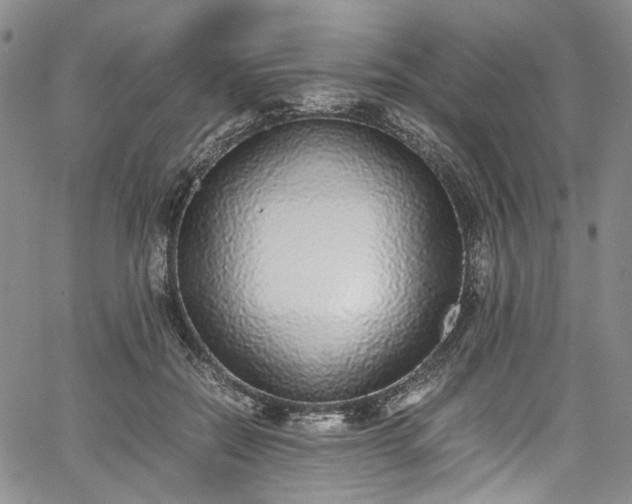 X0000067950554200604201434