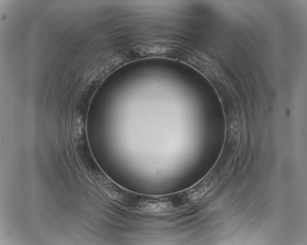 X0000067950555200604201434