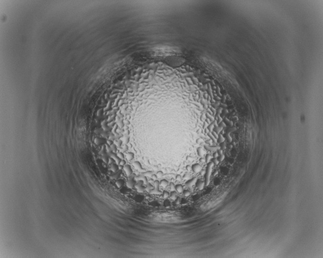 X0000067950557200604201434