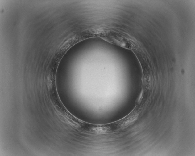 X0000067950558200604201434