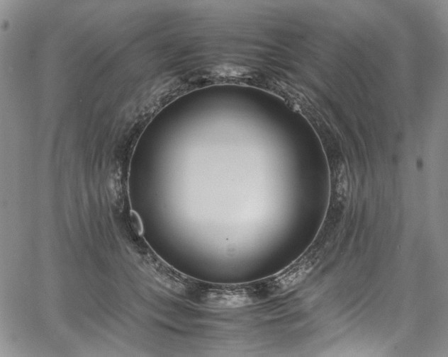 X0000067950559200604201434