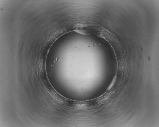 X0000067950560200604201434